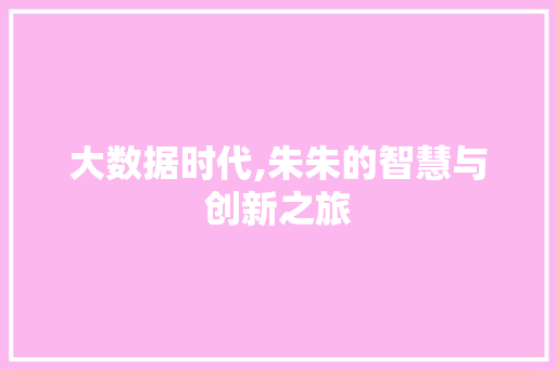 大数据时代,朱朱的智慧与创新之旅