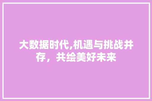 大数据时代,机遇与挑战并存，共绘美好未来