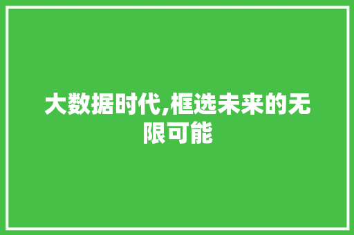 大数据时代,框选未来的无限可能