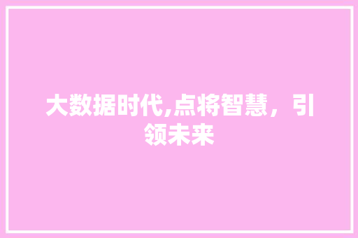 大数据时代,点将智慧，引领未来