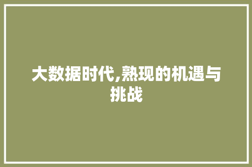 大数据时代,熟现的机遇与挑战