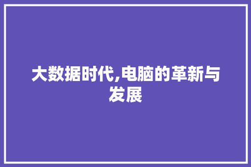大数据时代,电脑的革新与发展 建站教程