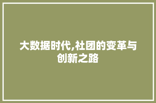 大数据时代,社团的变革与创新之路