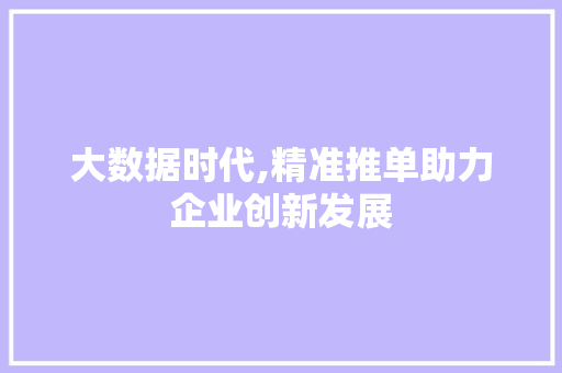 大数据时代,精准推单助力企业创新发展 WordPress教程