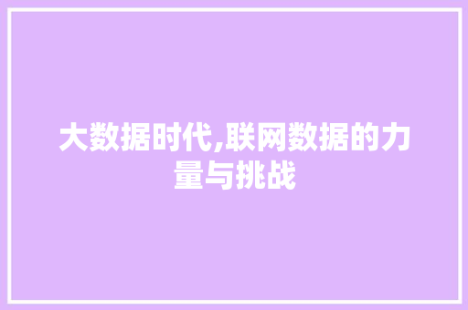 大数据时代,联网数据的力量与挑战 建站教程