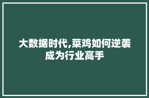 大数据时代,菜鸡如何逆袭成为行业高手