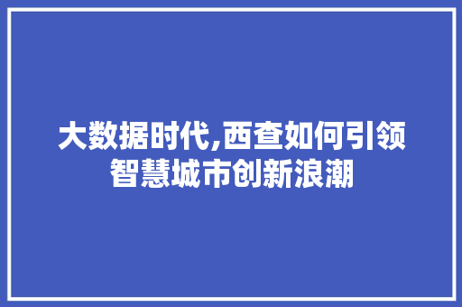 大数据时代,西查如何引领智慧城市创新浪潮