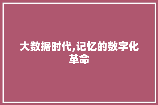 大数据时代,记忆的数字化革命 友链在线