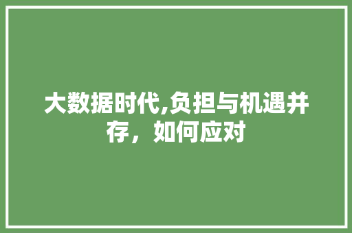 大数据时代,负担与机遇并存，如何应对