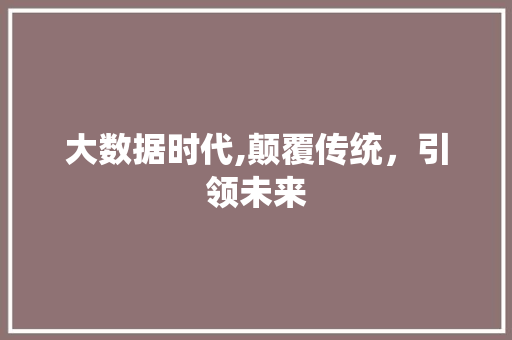 大数据时代,颠覆传统，引领未来