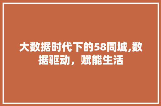 大数据时代下的58同城,数据驱动，赋能生活