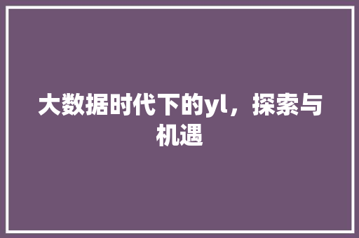 大数据时代下的yl，探索与机遇