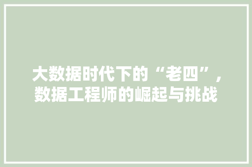 大数据时代下的“老四”,数据工程师的崛起与挑战