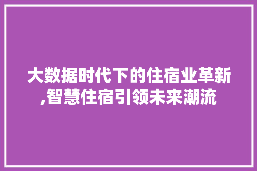 大数据时代下的住宿业革新,智慧住宿引领未来潮流