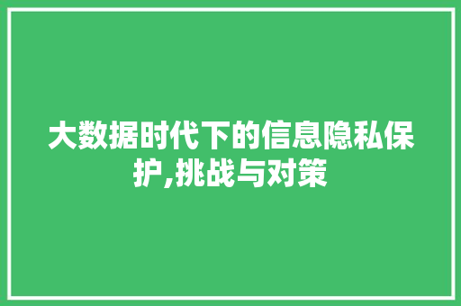 大数据时代下的信息隐私保护,挑战与对策