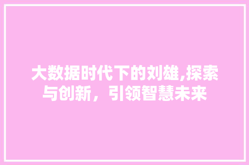 大数据时代下的刘雄,探索与创新，引领智慧未来 建站教程