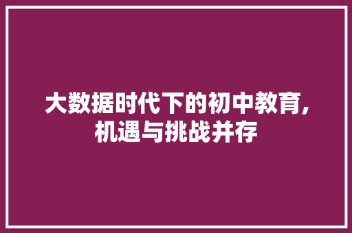 大数据时代下的初中教育,机遇与挑战并存 SEO教程