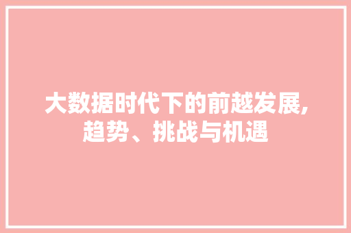 大数据时代下的前越发展,趋势、挑战与机遇