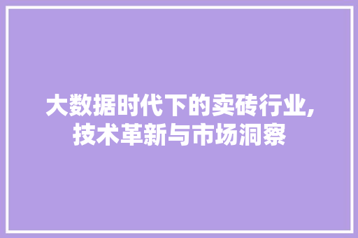 大数据时代下的卖砖行业,技术革新与市场洞察