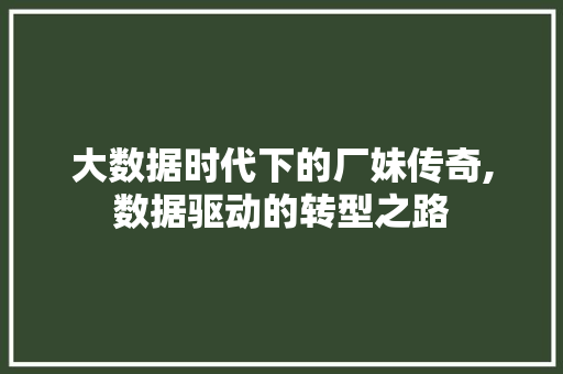 大数据时代下的厂妹传奇,数据驱动的转型之路