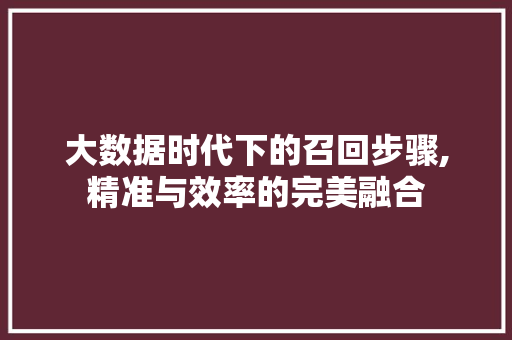 大数据时代下的召回步骤,精准与效率的完美融合