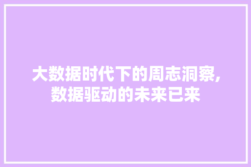 大数据时代下的周志洞察,数据驱动的未来已来