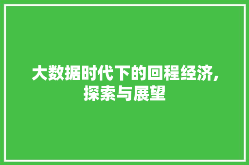 大数据时代下的回程经济,探索与展望