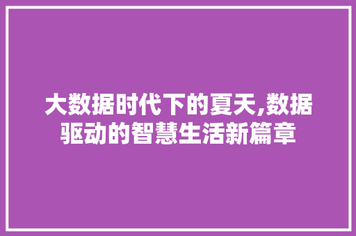 大数据时代下的夏天,数据驱动的智慧生活新篇章 建站教程