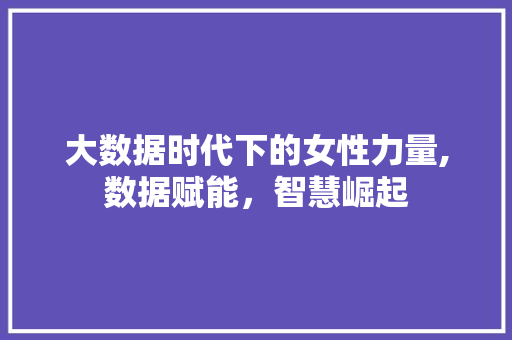 大数据时代下的女性力量,数据赋能，智慧崛起 建站教程