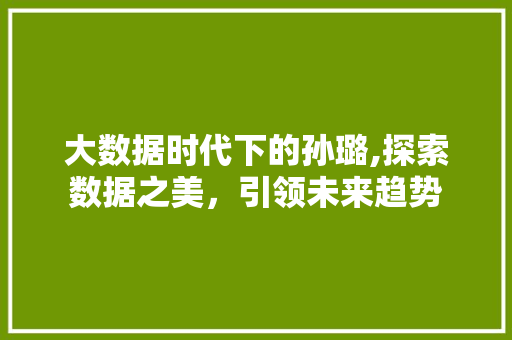 大数据时代下的孙璐,探索数据之美，引领未来趋势