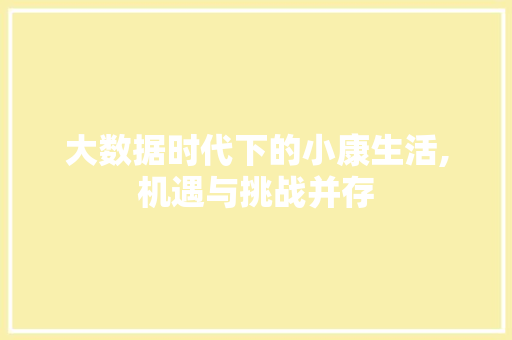 大数据时代下的小康生活,机遇与挑战并存