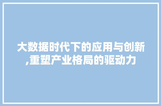 大数据时代下的应用与创新,重塑产业格局的驱动力