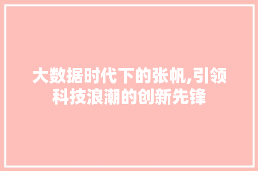 大数据时代下的张帆,引领科技浪潮的创新先锋