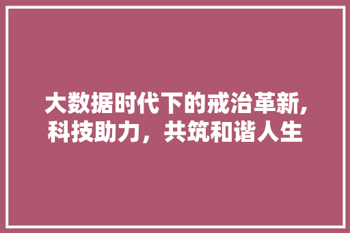 大数据时代下的戒治革新,科技助力，共筑和谐人生