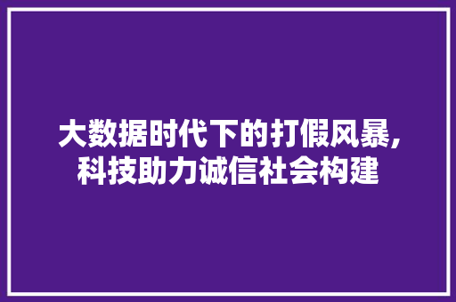 大数据时代下的打假风暴,科技助力诚信社会构建