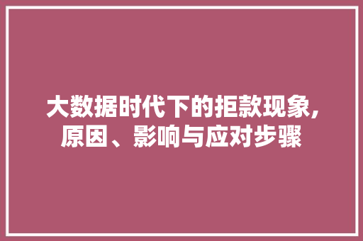 大数据时代下的拒款现象,原因、影响与应对步骤