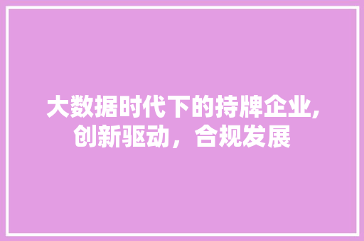 大数据时代下的持牌企业,创新驱动，合规发展