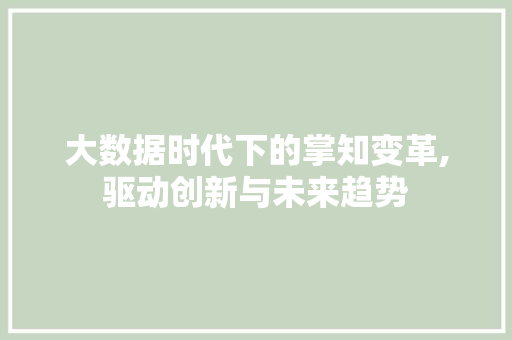 大数据时代下的掌知变革,驱动创新与未来趋势