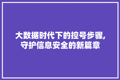 大数据时代下的控号步骤,守护信息安全的新篇章