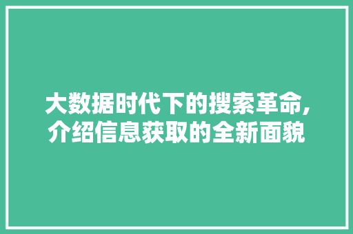 大数据时代下的搜索革命,介绍信息获取的全新面貌