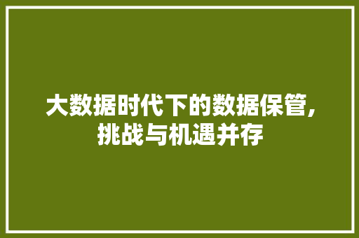 大数据时代下的数据保管,挑战与机遇并存