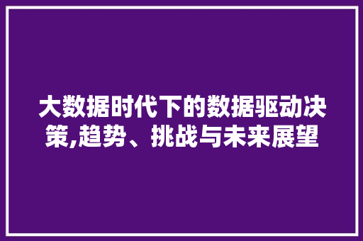 大数据时代下的数据驱动决策,趋势、挑战与未来展望