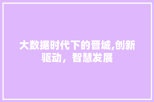 大数据时代下的晋城,创新驱动，智慧发展
