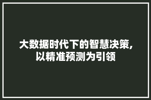 大数据时代下的智慧决策,以精准预测为引领