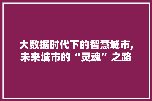 大数据时代下的智慧城市,未来城市的“灵魂”之路