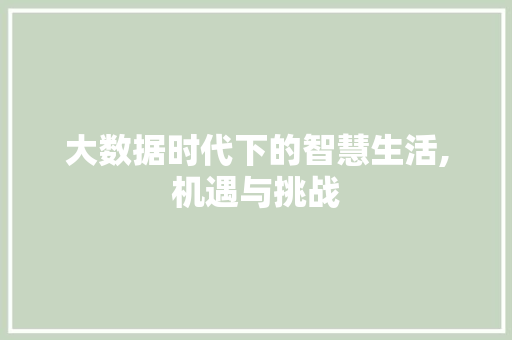 大数据时代下的智慧生活,机遇与挑战
