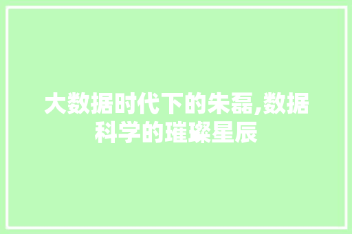 大数据时代下的朱磊,数据科学的璀璨星辰