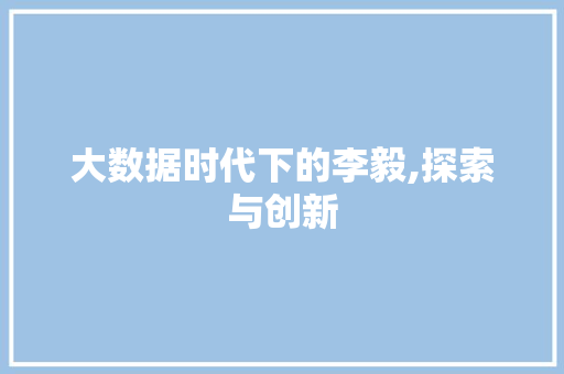 大数据时代下的李毅,探索与创新