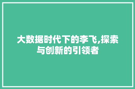 大数据时代下的李飞,探索与创新的引领者