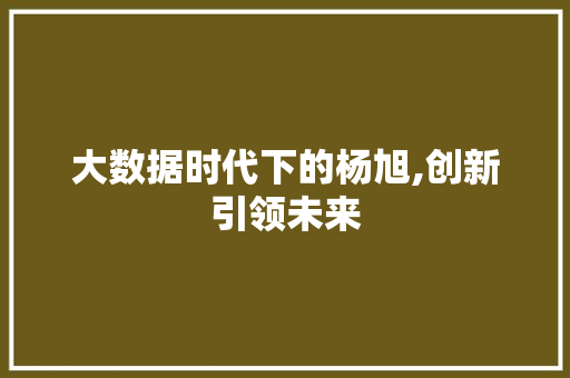 大数据时代下的杨旭,创新引领未来